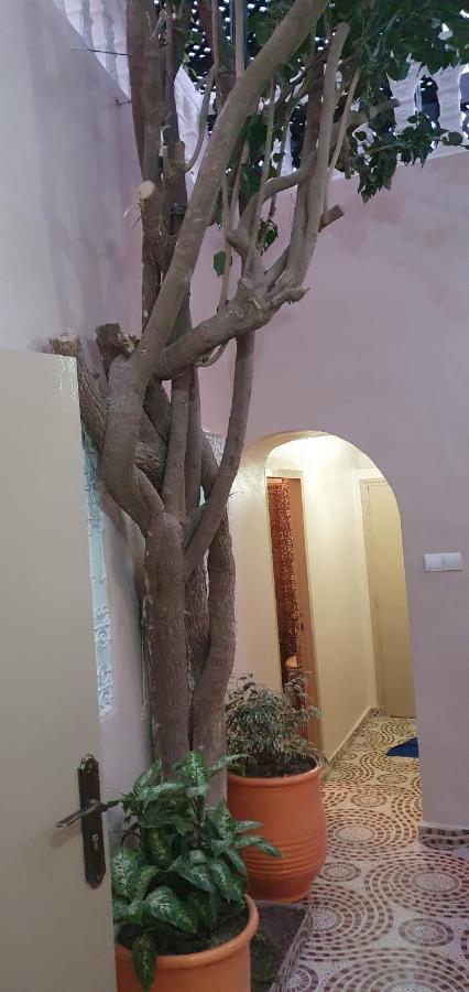 Surf Riad Taghazout Ngoại thất bức ảnh