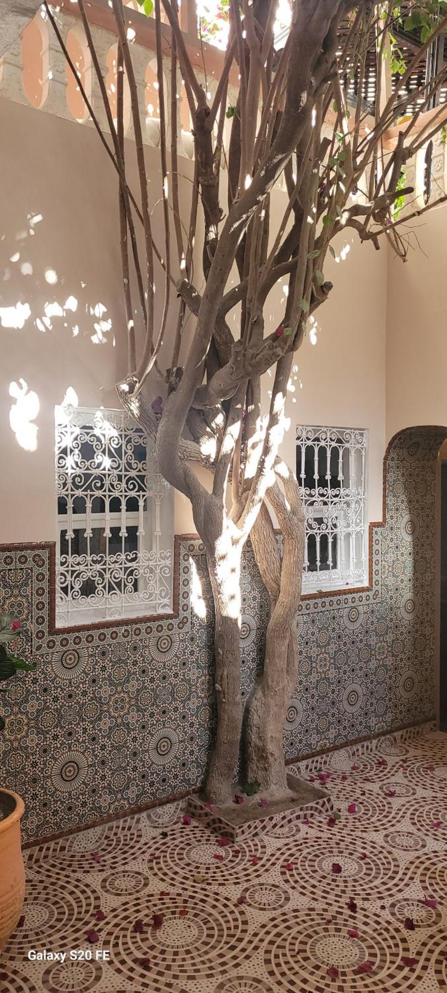 Surf Riad Taghazout Ngoại thất bức ảnh
