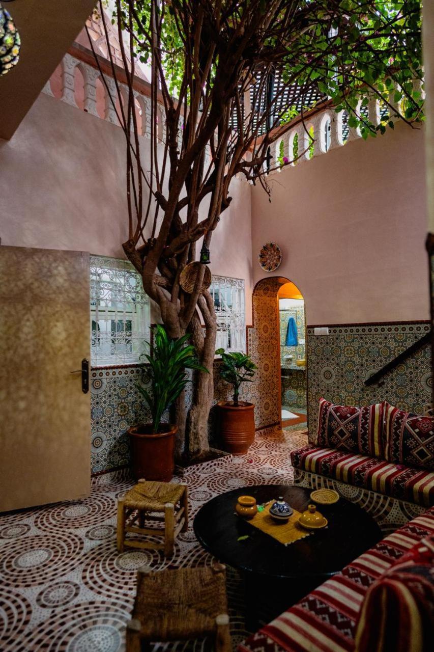 Surf Riad Taghazout Ngoại thất bức ảnh